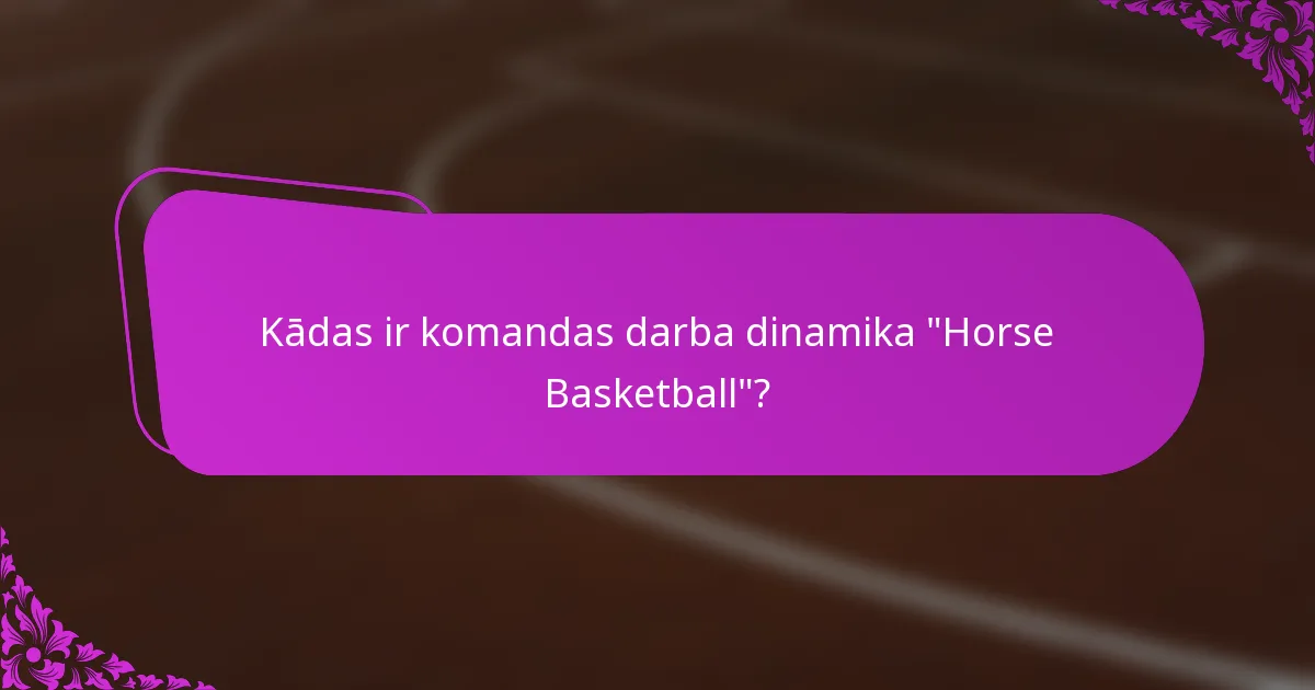 Kādas ir komandas darba dinamika 